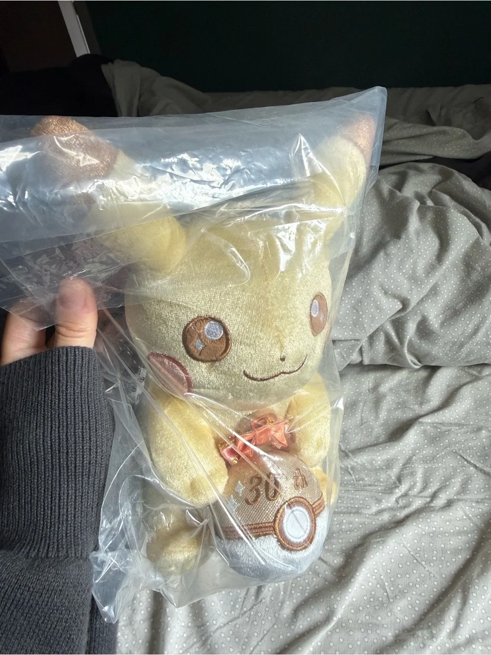Pokemon 30th Anniversary Pikachu Plush